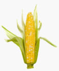 Corn harvester,4YZ-3 corn combine harvester 90HP,Corn harvester threshing machines.